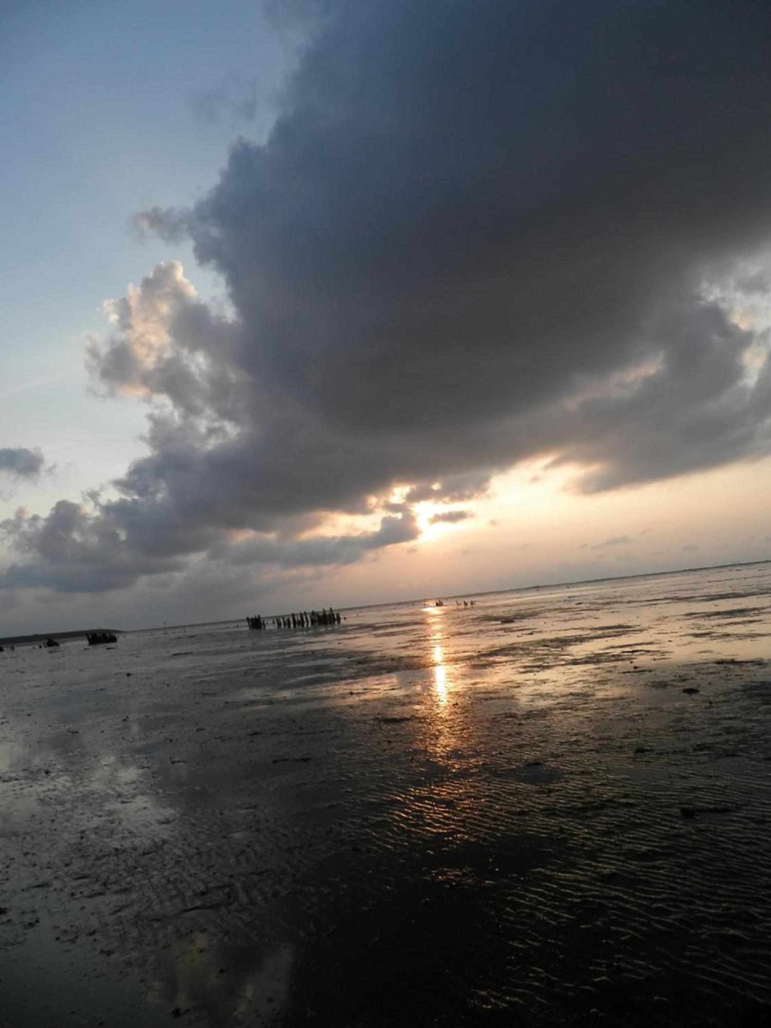 8 Pers House 'Capitein Theis' With Seaside In Front Of The Lauwersmeer Anjum Exterior foto